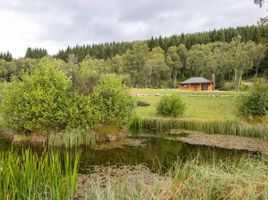 The Pond
