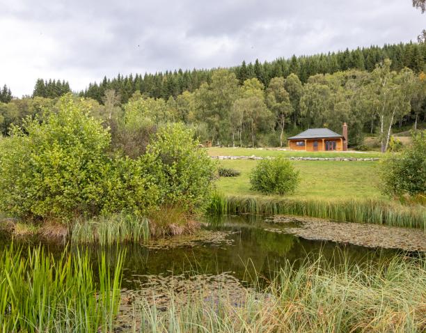 The Pond